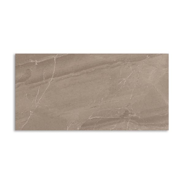 PORCELANATO GEOSTONE TERRA RECTIFICADO 30X60